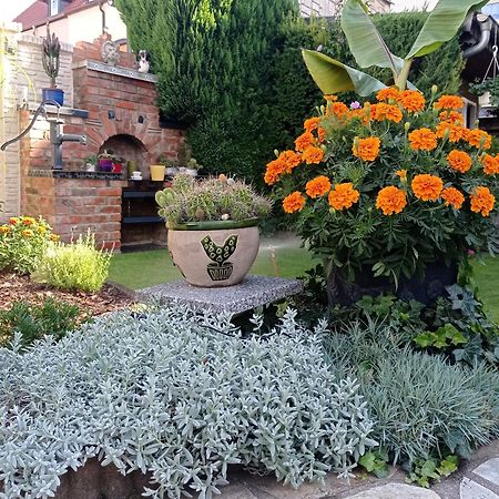 Usis_Ferienwohnung Im Harz เควดลินบวร์ก ภายนอก รูปภาพ